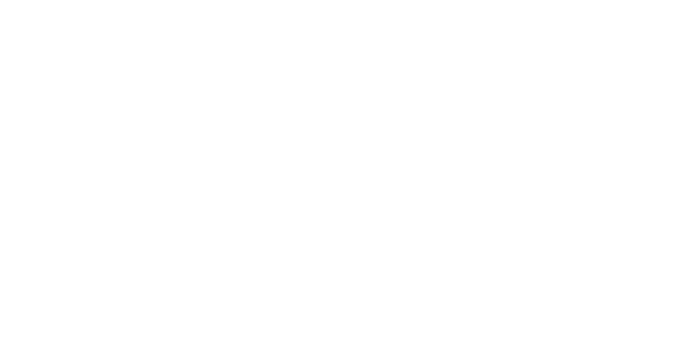 Leader